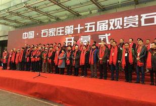 石家庄近期爆料新闻事件,揭秘背后真相与影响